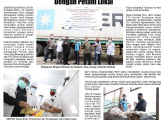 eksportir nangka indonesia