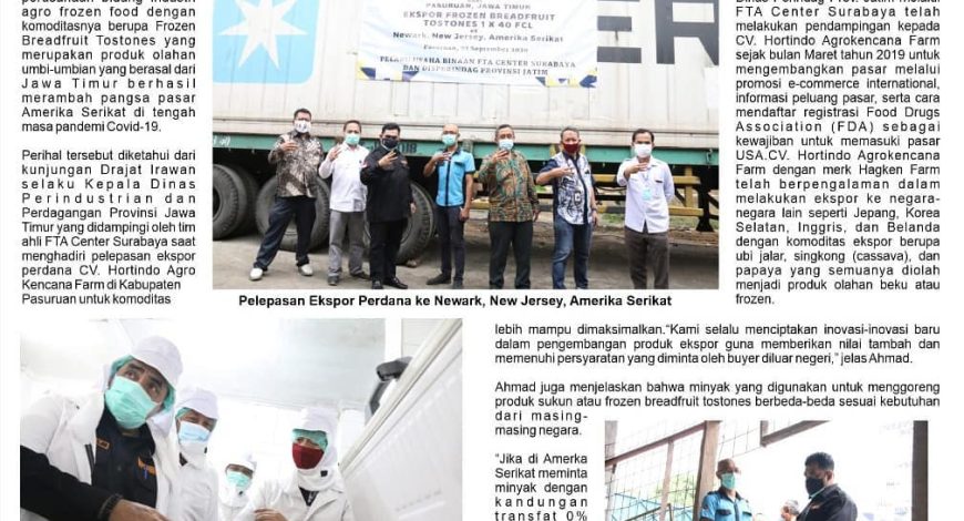 eksportir nangka indonesia