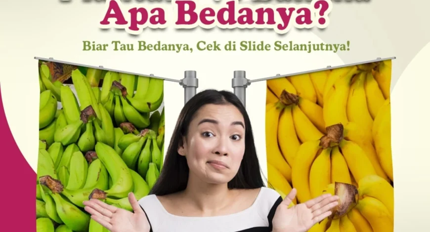 Perbedaan Plantain dan Banana