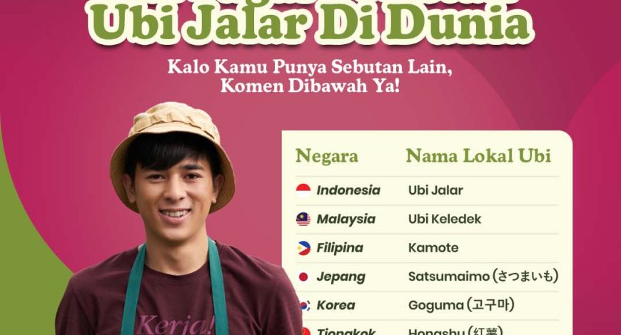 Ubi jalar dari berbagai negara