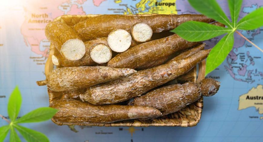 Budaya konsumsi singkong di dunia dalam berbagai olahan tradisional
