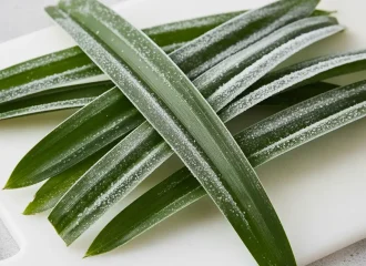 jual pandan beku