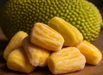 produk nangka beku hagkenfarm