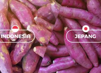 Perbandingan ubi Jepang berkulit mulus dan ubi lokal, menjelaskan kenapa kulit ubi Jepang lebih halus