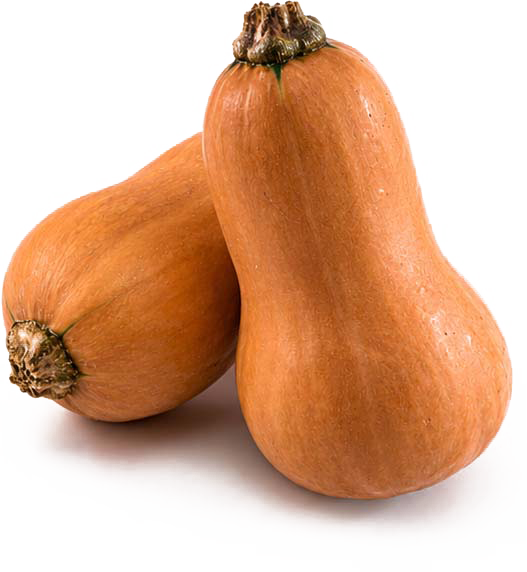 Labu Madu atau Butternut Squash berbentuk seperti gitar dengan daging oranye dan rasa manis alami