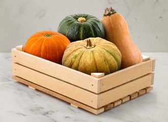 Perbedaan labu parang, labu madu, kabocha orange dan kabocha hijau