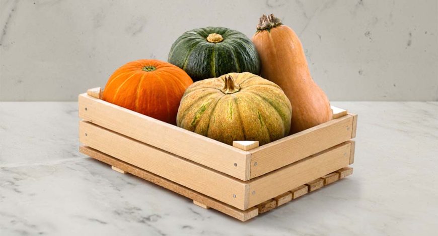 Perbedaan labu parang, labu madu, kabocha orange dan kabocha hijau